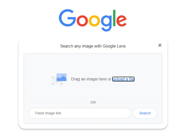 ricerca inversa immagini google
